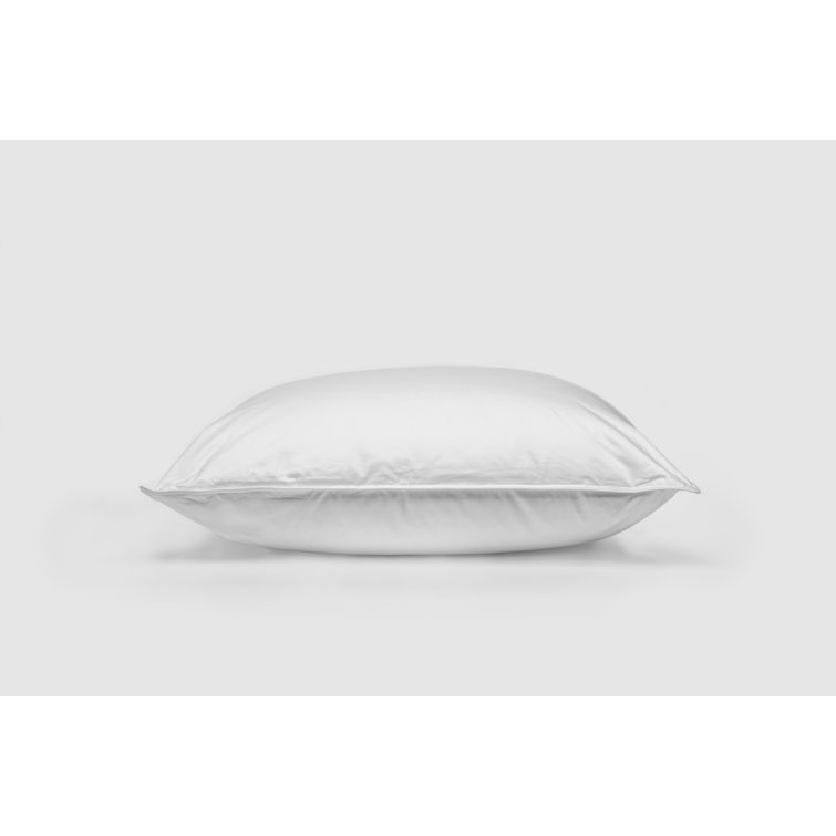 Arsuite Extra Firm Down Pillow Wayfair